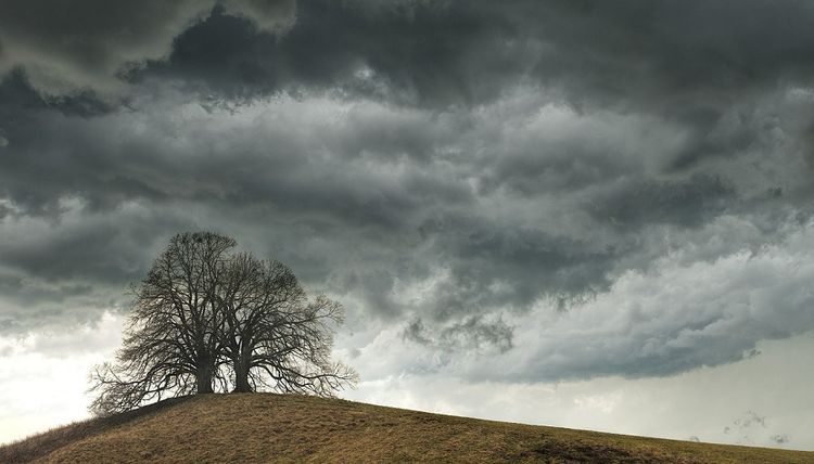 Синоптики предупреждают – приближается буря