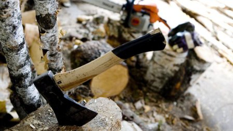 Премьер: не надо думать, что мы станем вырубать весь лес и обогреваться - Литва и страны Балтии