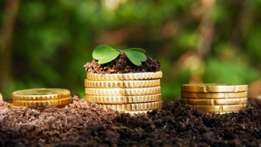 Среда – последний день для уплаты земельного налога: в этом году планируется собрать на 18,5 млн евро больше - Литва и страны Балтии