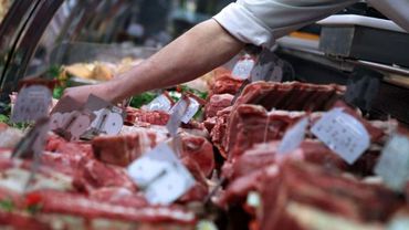 В Европе продолжается скандал с кониной в мясных продуктах – раскрыта «мафиозная группировка»