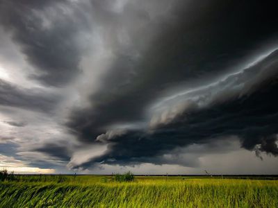 Svarbi žinia žemės ūkiui: dėl audros padarinių Vyriausybė skelbia valstybės lygio ekstremaliąją situaciją - Lietuva ir Baltijos šalys