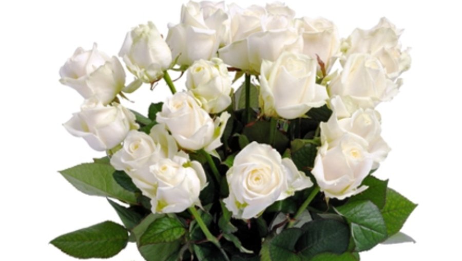 С Днем рождения, любимая! - Поздравления