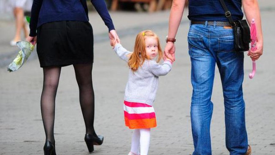 Литва встала на защиту отца и матери - Литва и страны Балтии