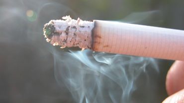 Курение разрушительно действует на мужской интеллект                                                                                                