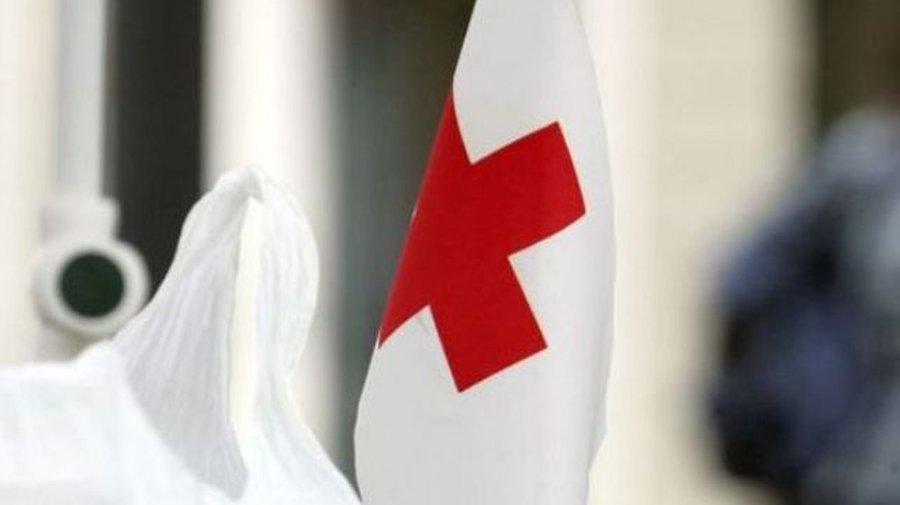 Волонтерство: Помогая другим, мы помогаем себе - В Висагинасе