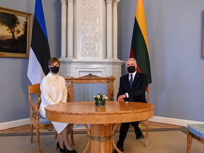 Президент Эстонии о приобретении вакцины "Спутник V":  мы бы купили утвержденные в ЕС вакцины третьих стран - Литва и страны Балтии