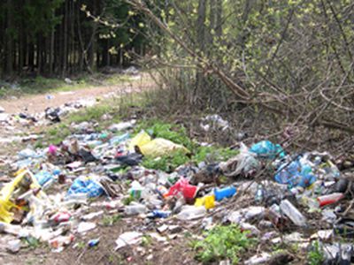 В Вильнюсе - засады на любителей мусорить  - Литва и страны Балтии