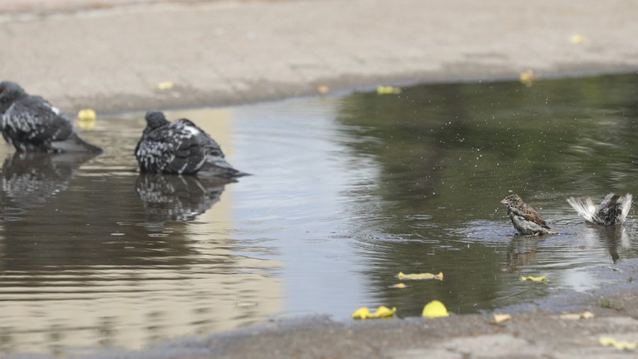 В Литву идет долгожданное весеннее тепло - Литва и страны Балтии