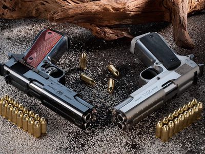 Создан первый двухствольный самозарядный пистолет                                                                 - Наука и здоровье