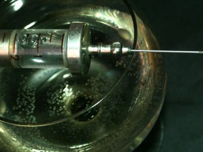 Наркоман с 20-летним стажем: Григишкес — это наркотическая фабрика Вильнюса
 - Литва и страны Балтии