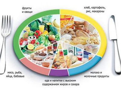 Специалисты разработали «тарелку правильного питания» - Наука и здоровье