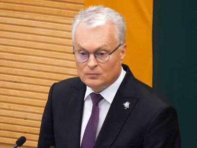 Президент Литвы критикует комиссию по десоветизации: так стравливается общество - Литва и страны Балтии