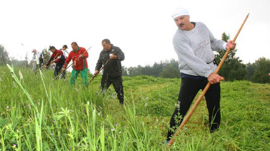 Запах свежескошенной травы помогает расслабиться - Наука и здоровье