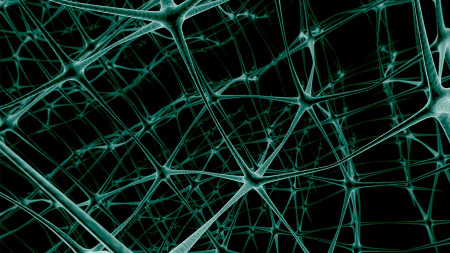 Жителя Томска обвиняют во взломе сайта президента России - IT новости