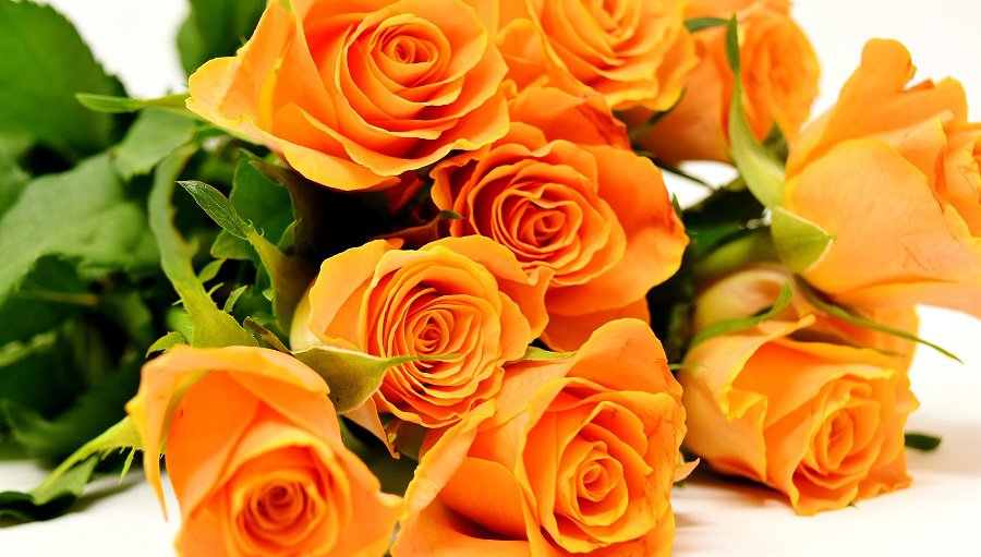 Низкий поклон врачам и медсестрам! - Благодарность