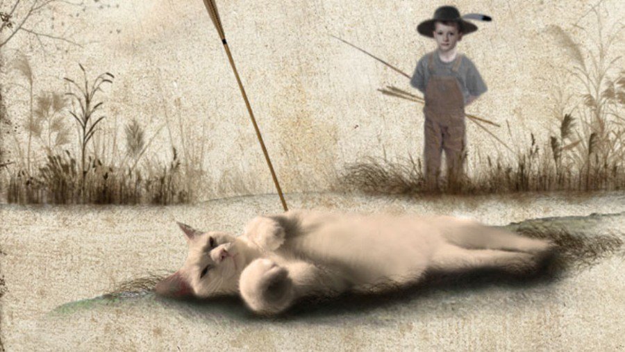 Горячая линия ТТС: правильно ли сформирована методика изучения литовского языка в русских школах? - В Висагинасе