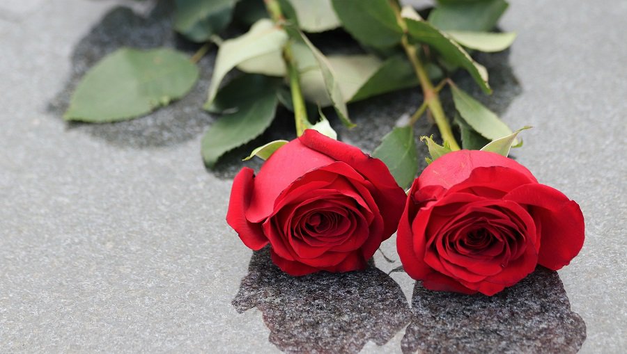 Спасибо всем, кто поддержал в трудную минуту - Благодарность