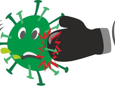 Долгожданная статистика: в Литве не осталось "черных" муниципалитетов - Литва и страны Балтии