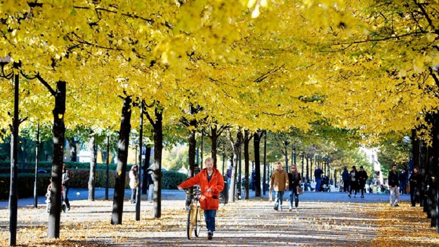 Прогноз на начало отопительного сезона: такого октября не было два года - Литва и страны Балтии