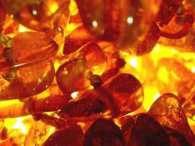 29 кг янтаря в бензобаке пытался провезти через Литву калининградец

 - Происшествия и криминал