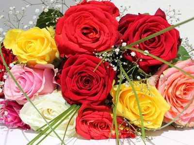 Анатолию Сергеевичу Катульскому - 85 лет! - Поздравления