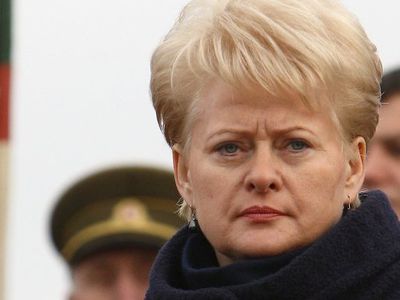 Президент Литвы: У наших границ концентрируются войска                                 - Литва и страны Балтии