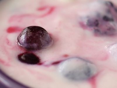 Эксперты: Йогурты не приносят здоровью пользы - Наука и здоровье