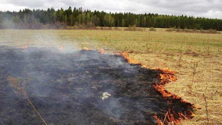 Внимание – повышенная пожароопасность! - В Висагинасе