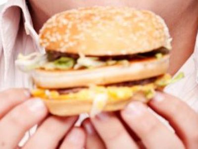 В Ирландии мясо для гамбургеров на 75% состояло из конины - В Мире