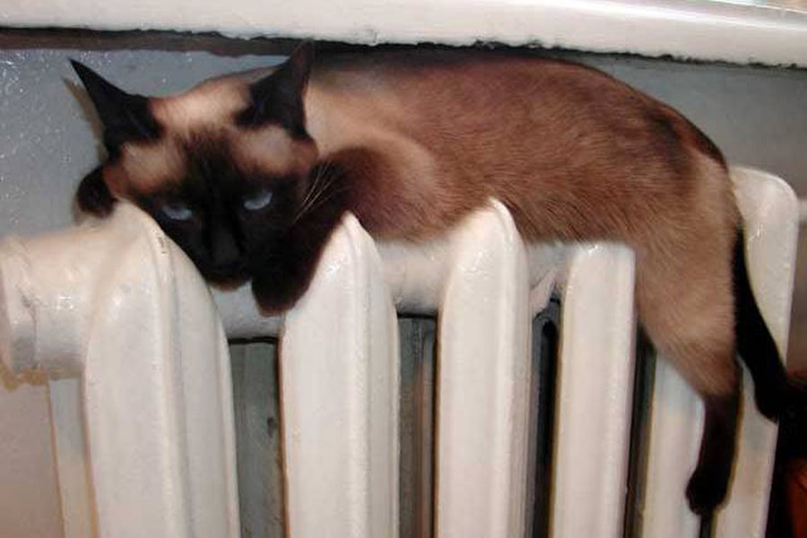 Информация для жителей                                 - В Висагинасе