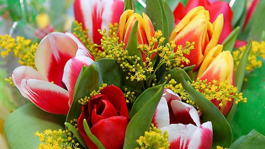 С праздником 8 Марта! - В Висагинасе