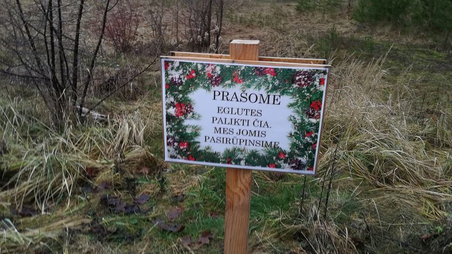 Не выбрасывайте елочки в неположенных местах! - В Висагинасе