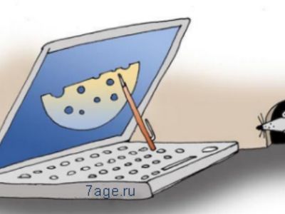 Висагинский комиссариат полиции предупреждает о мошенничестве в Интернете - Происшествия и криминал