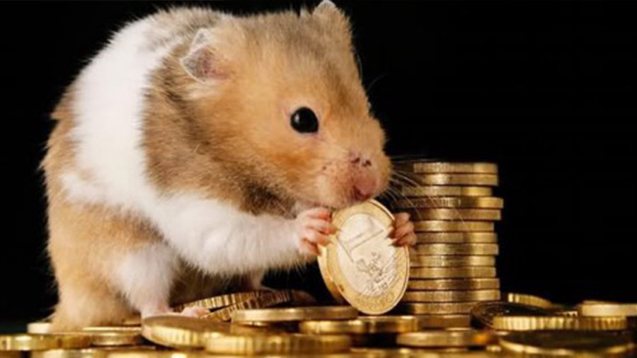 Рабочая сила в Литве одна из самых "дешевых" в Европе - Литва и страны Балтии