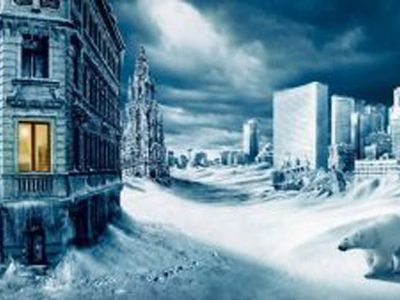 «Нужно заготавливать дрова» - Наука и здоровье