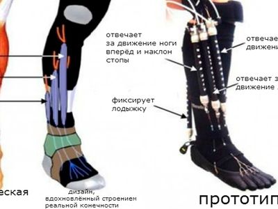 Мягкий экзоскелет поможет больным с параличом конечностей - Наука и здоровье