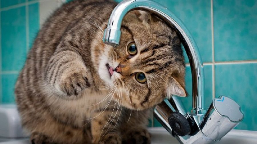 Об отключении холодной воды - В Висагинасе