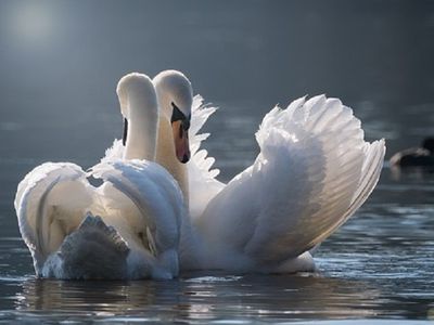 В Литве фиксируется гидрологическая засуха - Литва и страны Балтии