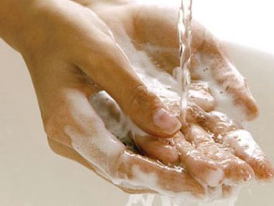 Сегодня — Всемирный день мытья рук - Наука и здоровье