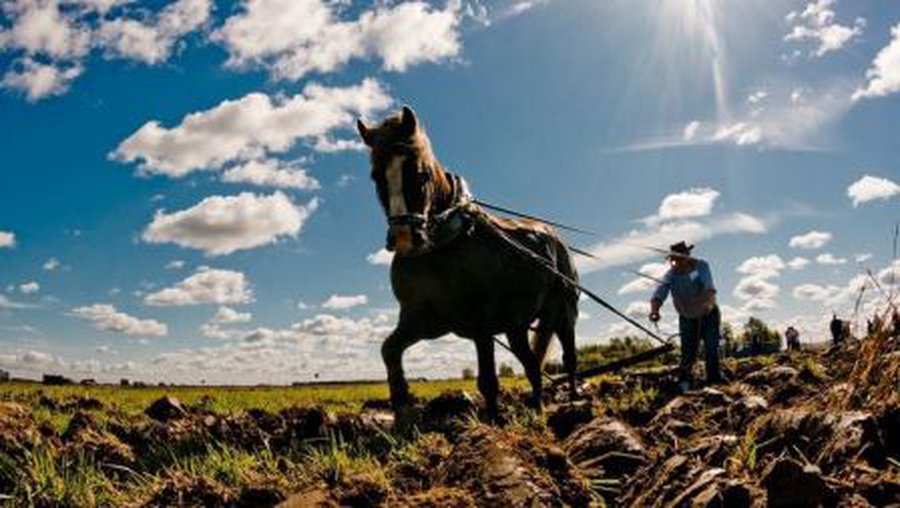 Еврокомиссия требует от Литвы вернуть 12 млн. литов, выделенные на сельское хозяйство

 - Литва и страны Балтии