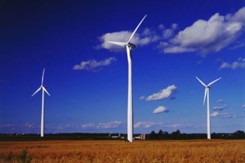 Siūlo mažiau remti vėjo energetiką 
 
