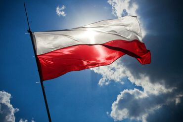 Опрос: почти половина поляков готовы защищать страну в случае нападения