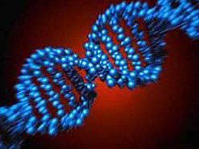 В британских аптеках появились тесты на отцовство - Наука и здоровье