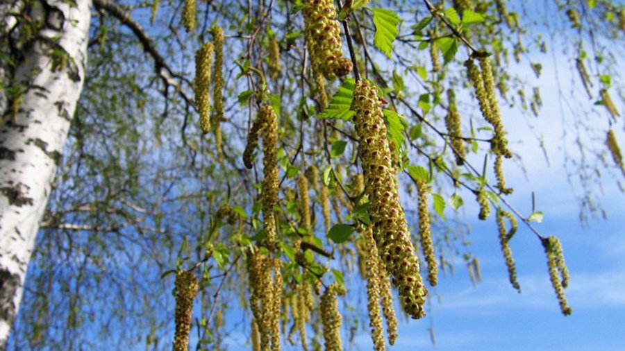 Visagine vaikai lankė liaudies meno ir amatų stovyklą - Visagine