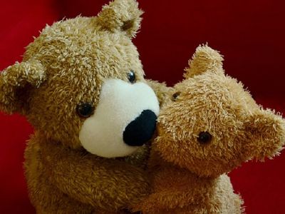 НЦКУ: девочку, вывезенную отцом в Россию, вернули в Литву (дополнено) - Происшествия и криминал