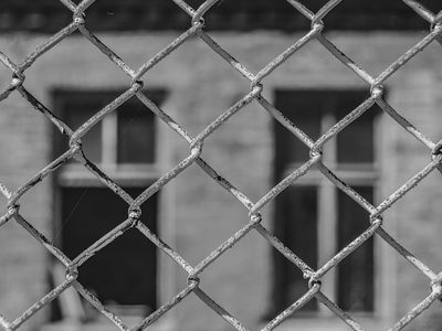 В Литве на полигоне Руднинкай началось размещение нелегальных мигрантов - Литва и страны Балтии