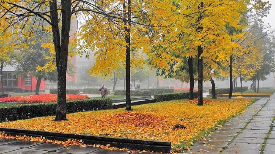 Погода в Висагинасе в ближайшие дни не изменится - В Висагинасе