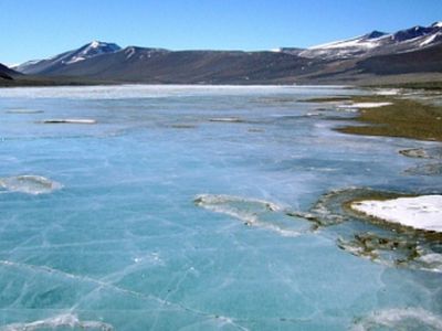 Подо льдом Антарктиды бушует жизнь - Наука и здоровье