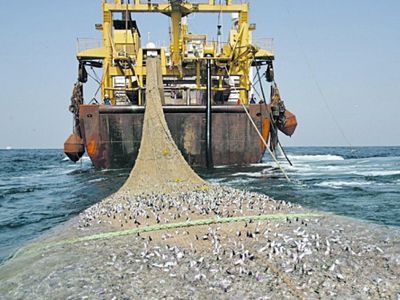 Суд Украины арестовал российское судно по делу о добыче песка в Крыму - В Мире