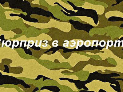 Юношу-инвалида в Литве задержали за то, что он не явился в военкомат - Литва и страны Балтии